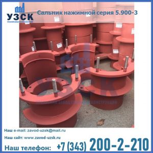 Сальники нажимные серия 5.900-3 в Балыкчы